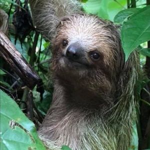 Meet your Posher, Annette